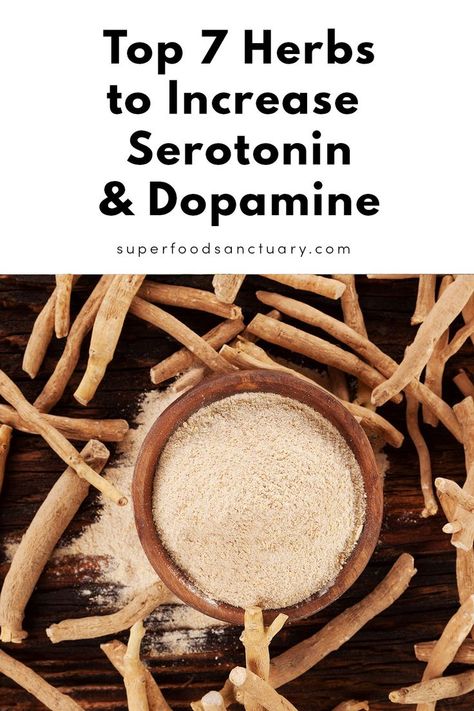 Serotonin and dopamine are the two major hormones that influence your mental state through moods, feelings and happiness. One of the best ways to boost these two hormones is using herbs! Find the top 7 hears to increase dopamine and serotonin in this article! Boost Seratonin, Increase Dopamine Naturally, Dopamine Diet, Increase Dopamine, Dopamine And Serotonin, Increase Serotonin, Mental State, Healthy Diet Tips, Herbs For Health