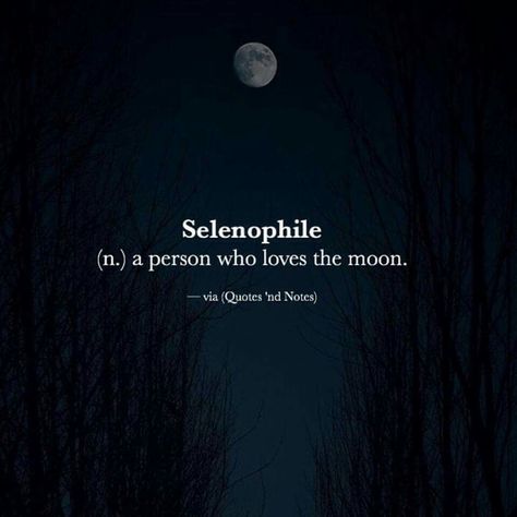 Selenophile (n.) A person who loves the moon. Image via (Quotes 'nd Notes) Moon Quotes, Uncommon Words, One Word Quotes, Sup Yoga, Weird Words, Unusual Words, Rare Words, Word Definitions, Unique Words