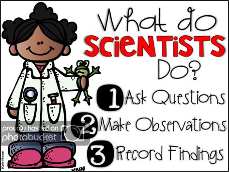 What Do Scientists Do, Kindergarten Science Curriculum, What Is A Scientist, Kindergarten Posters, We Are Scientists, Ngss Science, Science Anchor Charts, 1st Grade Science, First Grade Science