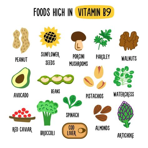 Vitamin B Foods, Vitamin B12 Foods, Folate Rich Foods, Healthy Food Products, Folate Foods, Healthy Food Chart, Vitamin A Foods, Baby Food Chart, Vitamin B9