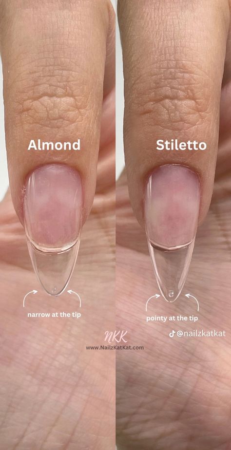 Nail Anatomy Diagram, Nails Forms Shape, Nail Forms Shape, How To Cut Nails Shape, How To Shape Nails Step By Step, How To Shape Nails, Nails Form, Nail Shape Chart, Types Of Nails Shapes