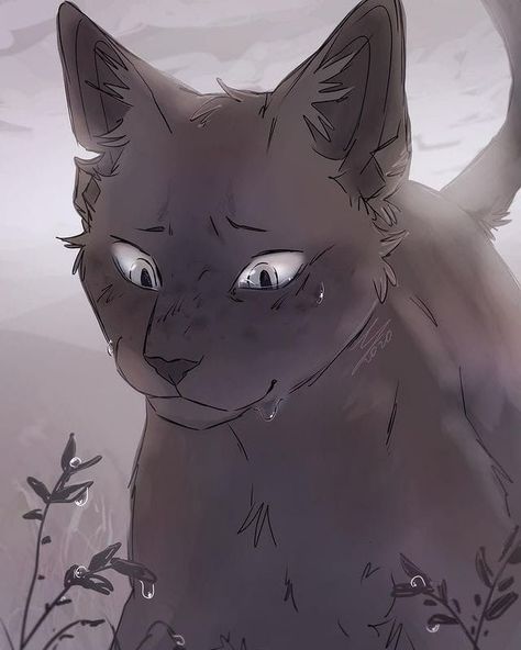 Warrior Cats, Blue