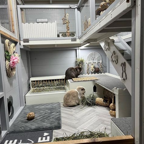 Rabbit Rooms Indoor, Rabbit Incloser, Luxury Rabbit House, Large Indoor Rabbit Enclosure, Rabbit Room Setup, Bunny Apartment Set Up, Outside Bunny Enclosure, Rabbit Mansion, Rabbit Enclosure Indoor