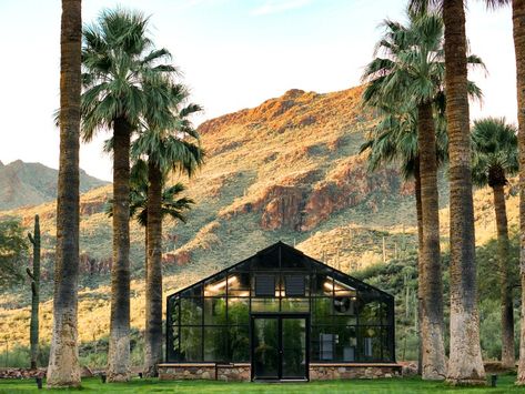 The Best Resorts in Arizona Babymoon Ideas, Arizona Resorts, Gold Mines, Camelback Mountain, Wellness Resort, Santa Catalina, Sonoran Desert, Conde Nast Traveler, Babymoon