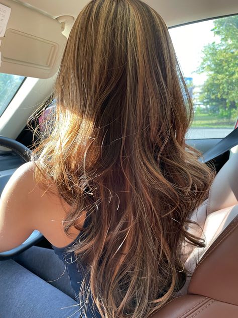 Long Hair Layers With Highlights, Asian Chestnut Brown Hair, Long Layered Hair Balayage, Baby Caramel Highlights, Dark Brown Hair With Lighter Highlights, Highlights Brown Hair Long, Carmel Highlights On Brown Hair Chunky, Golden Brown Highlights On Dark Hair, Beachy Highlights Brown Hair