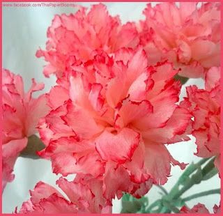 Paper Carnations, Flowy Flowers, Tissue Paper Roses, Crafty Flowers, Crafted Flowers, Paper Flower Wreaths, Tissue Flowers, Paper Flower Crafts, How To Make Paper Flowers