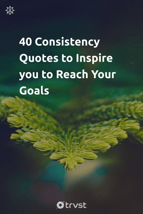 Consistency Exercise Quotes, Power Of Consistency Quotes, Achieving Your Goals Quotes, Consistency Is Key Quotes, Plan Quotes Motivation, Preparing Quotes, Quotes About Consistency, Quotes On Consistency, Consistency Quotes Motivation