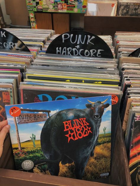 Dude Ranch Blink 182, Punk Record Store, Blink 182 Aesthetic, Willow Aesthetic, Blink 182 Poster, Punk Boy, Tom Delonge, Punk Aesthetic, Dude Ranch