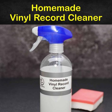 Vinyl Record Cleaner Diy, How To Clean Vinyl Records, Vinyl Record Diy, Natural Wasp Repellent, Record Diy, Vinyl Records Diy, Records Diy, Cleaning Vinyl Siding, Wasp Repellent