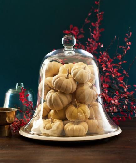 Pile miniature white pumpkins into a cloche or bell jar, top with a plate and then turn it over so the plate sits on a tabletop. For more decoration ideas for Thanksgiving, visit our site! Thanksgiving Decorating Ideas, Ideas For Thanksgiving, Diy Home Garden, Thanksgiving Decorating, Thanksgiving Decorations Diy, Thanksgiving Diy, Thanksgiving Centerpieces, Plate Decor, Small Pumpkins