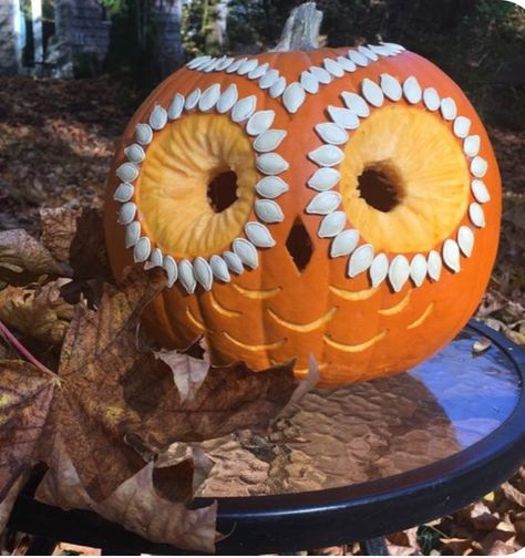 Painted Owl Pumpkin, Creative Jack O Lantern Ideas, Owl Pumpkin Carving, Easy Pumpkin Carving Ideas, Creative Pumpkin Carving Ideas, Cute Pumpkin Carving, Owl Pumpkin, Halloween Pumpkin Carving Stencils, Pumpkin Decorating Contest