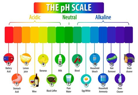 Ph Scale, Banana Milk, Color Pencil Drawing, Black Coffee, Project Ideas, Vector Art, White Background, Vector Free, For Free