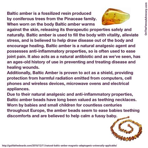 Benefits of Baltic Amber- we love using baltic amber. Jake has worn his since 3 months. Rarely, have we had an issue with any teeth coming in. Could be coincidence (I know you skeptics are out there) or the amber could have helped. Baltic Amber Benefits, Turmeric Paste, Gold Milk, Amber Teething Necklace, Turmeric Tea, Baltic Amber Necklace, Golden Milk, Amber Necklace, Be Natural