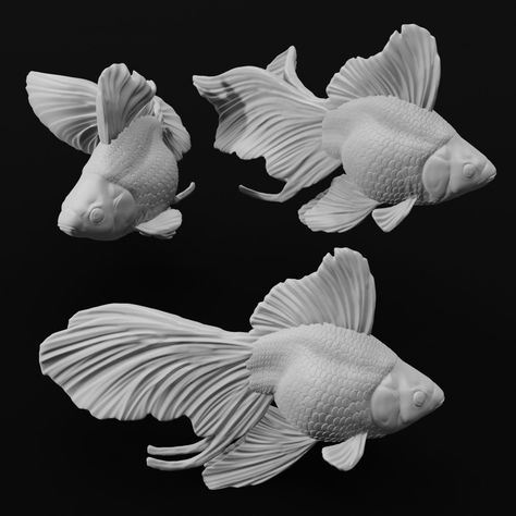 Goldfish Sculpture, Fish Fin, Fancy Goldfish, Fish Model, Fish Tales, Face Jewellery, Patio Wall, Shoe Design, 3d Wall Art