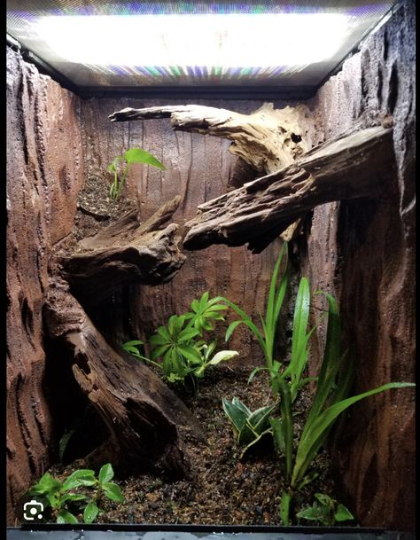 Arboreal Snake Enclosure, Bioactive Reptile Enclosure, Reptile Enclosure Ideas, Small Terrarium Ideas, Carpet Chameleon, Crested Gecko Terrarium, Landscape Terrarium, Paludarium Vivarium, Dart Frog Terrarium