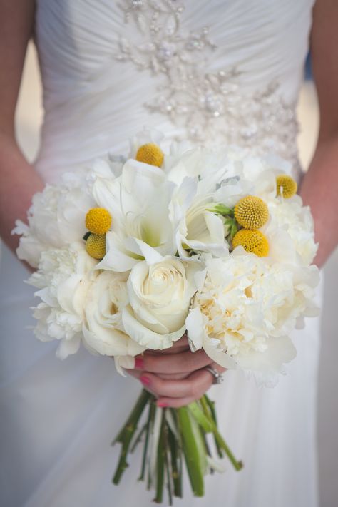 White Rose Wedding Bouquet with Billy Ball Accents Bouquet White Roses, Ball Bouquet, White Rose Wedding, White Rose Wedding Bouquet, Billy Balls, White Roses Wedding, Rose Wedding Bouquet, Wedding 2024, Yellow Wedding