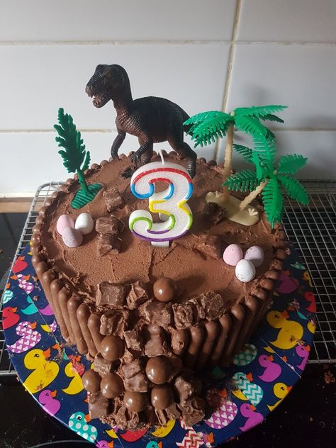 Mary berry chocolate sponge, with chocolate fingers, Malteasers and hair is and mini eggs for Dino eggs. Dinosaur Chocolate Cake, Chocolate Finger Cake, Dino Cake, Dino Eggs, Dinosaur Birthday Cakes, 4th Birthday Cakes, Cake Tray, Dinosaur Cake, Chocolate Sponge