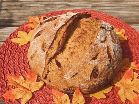 Dive Into Fall With This Cranberry Pumpkin Sourdough Bread Recipe – CBS Boston Cranberry Sourdough Bread, Cranberry Sourdough, Thing To Bake, Pumpkin Sourdough, Cranberry Pumpkin, Recipe Using Sourdough Starter, Pumpkin Cranberry, Artisan Bread Recipes, Baking Science