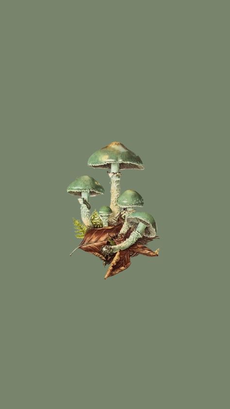 Mushroom Icon, Green Wallpaper Phone, Mystic Wallpaper, Mushroom Wallpaper, Coraline Jones, Aesthetic Lockscreens, Png Aesthetic, Dark Grunge, Whatsapp Wallpaper