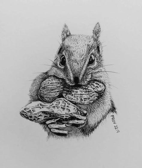 Animal Eating Drawing, Snacks Sketch, Snack Inktober, Snacks Inktober, Snack Sketch, Eating Sketch, Snacks Drawing, Snack Drawing, Drawing Ideas Animals