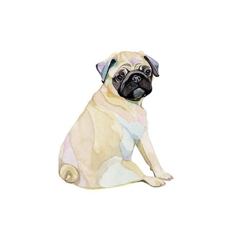 pug Pug Illustration, Pug Art, A Pug, Cute Pugs, Pug Love, Arte Animal, Pug Life, Pug Dog, Pug