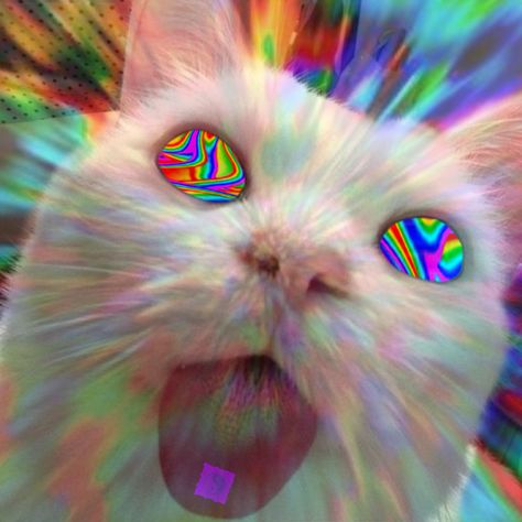 Wholesome Cat, Cat Edit, Trippy Cat, Trippy Pictures, Gambar Lanskap, Trippy Aesthetic, Trippy Designs, 70s Sci Fi Art, Psychadelic Art