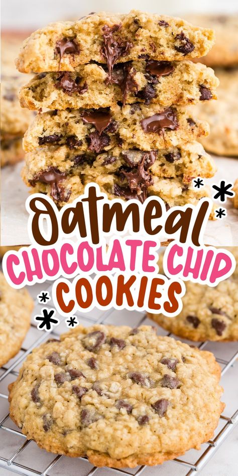 Oatmeal Chocolate Chip Cookies are chewy on the inside, crunchy on the outside, and loaded with gooey chocolate chips! Enjoy these cookies with a glass of milk as a breakfast treat or snack. Oatmeal Cookies With Oil, Choc Chip Oatmeal Cookies Recipes, Chocolate Chop Cookies, Oatmeal Dark Chocolate Chip Cookies, Chocolate Chip Cookies With Oatmeal, Oatmeal And Chocolate Chip Cookies, Oatmeal Chocolate Chip Cookie Recipe Chewy, Oatmeal Walnut Chocolate Chip Cookies, Amish Chocolate Chip Cookies