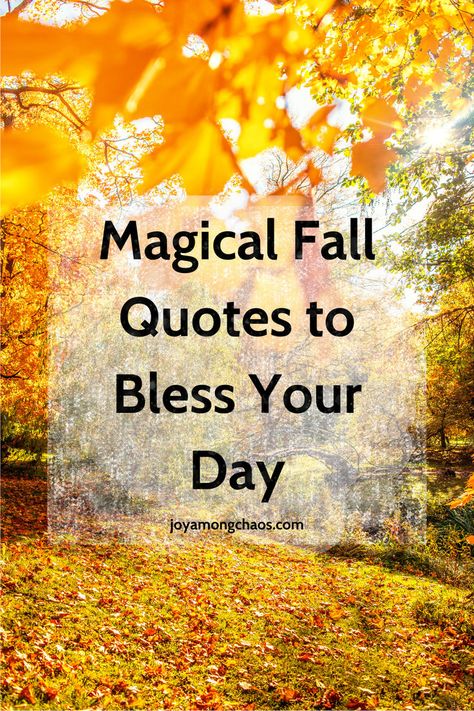 Magical Fall Quotes Fall Morning Quotes, Fall Blessings Quotes, Fall Sayings Quotes Autumn, Autumn Magic Quotes, Quotes For Fall, Quotes About Autumn, Quotes About Fall, Fall Quotes And Sayings, Morning Quotes Inspirational