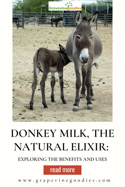 Donkey Milk, The Natural Elixir: Exploring the Benefits and Uses Donkey Milk Soap Benefits, Unique Nail Designs Summer, Ideas For Tattoos, Basic Computer Skills, Unique Nail Designs, Basic Computer, Skin Care Benefits, Essential Kitchen Tools, Artist Quotes