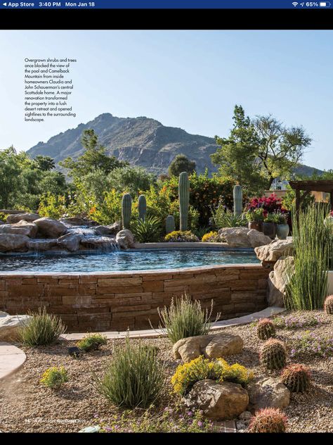 Az Pool Landscaping Ideas, Desert Landscaping Front Yard, Arizona Pools, Alpine Texas, Cactus Landscape, Overgrown Garden, Desert Backyard, Arizona Backyard, Low Water Gardening