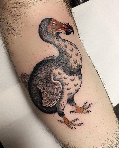 Dodo Bird Tattoo, Dodo Tattoo, Tattoo Off, Dodo Bird, Bird Tattoo, Extinct Animals, Birds Tattoo, Picture Design, Traditional Tattoo