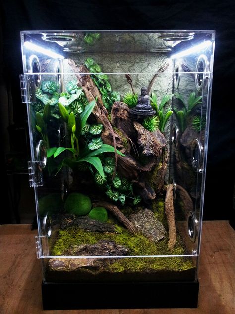 Arboreal Bioactive Jumping Spider Enclosure, Arboreal Tarantula Enclosure, Arboreal Terrarium, Tarantula Enclosure Ideas, Jumping Spider Terrarium, Tarantula Terrarium, Frog Aquarium, Crested Gecko Habitat, Satanic Leaf Tailed Gecko