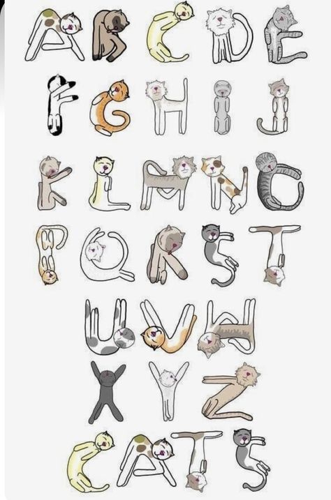 Illustrated Alphabet, What Is Fashion Designing, Gato Cat, Typography Alphabet, Alphabet A, Logo And Identity, Identity Branding, Design Themes, Hand Lettering Fonts