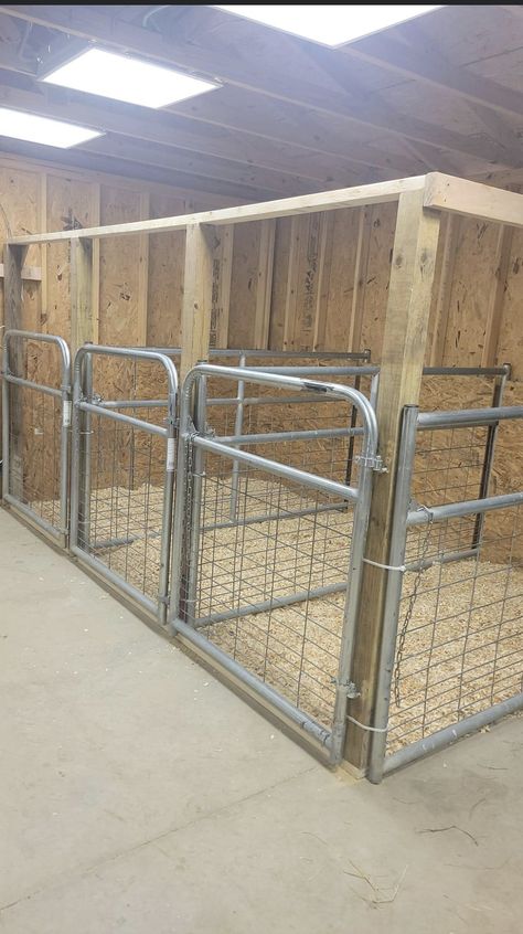 Pig Pens Ideas Shelters, Animal Sheds Ideas, Chicken Coop And Pig Pen, Meat Pig Pen Ideas, Lamb House Ideas, Cattle Shed Ideas, Lamb Stall Ideas, Goat Pen Layout, Feed Bin Ideas