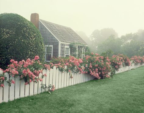 Cape Cod Landscaping, Cape Cod House Exterior, Cape Cod Cottage, Cape Cod Style House, Cape Cod Style, Cape House, Cape Cod House, White Picket Fence, Picket Fence