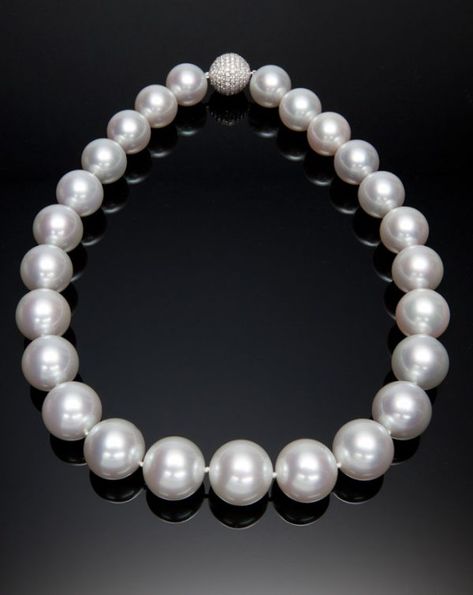 Pearl Strands - Assael South Sea Pearl Necklace, South Sea Pearls Earrings, Pearl Strands Necklace, White Pearl Necklace, Cultured Pearl Necklace, Yoko London, Sea Pearl, Pearl Strands, South Sea Pearls