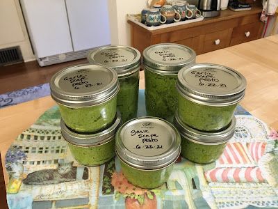 Garlic Scape Pesto Recipes, Lowcarb Soups, Pesto Ideas, Scape Pesto Recipe, Scape Recipes, Preserving Garlic, Scape Pesto, Healthy Good Food, Ranch Garden