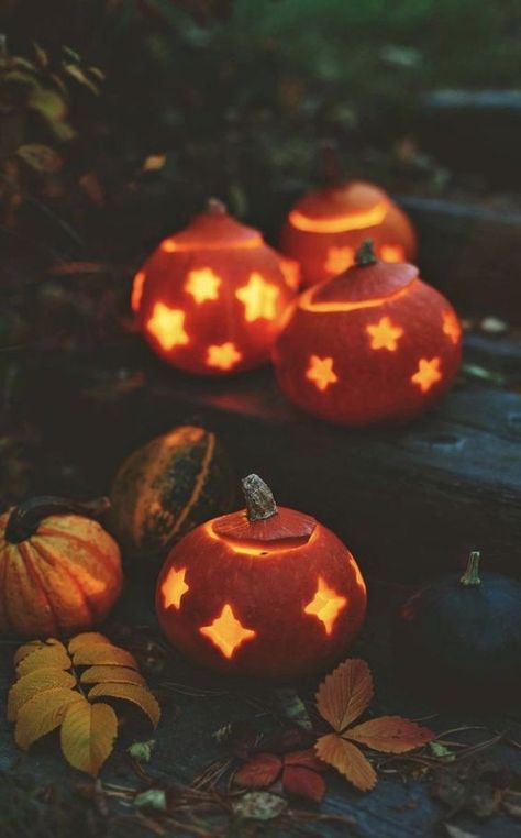 Warm Halloween Aesthetic, Pumpkins With Lights, Outdoor Fall And Halloween Decor, Diy Fall Clay Crafts, Autumn Aesthetic Decor, Thanksgiving Pumpkin Carving, Cozy Fall Aesthetic, Creative Pumpkin Painting, Helloween Wallpaper