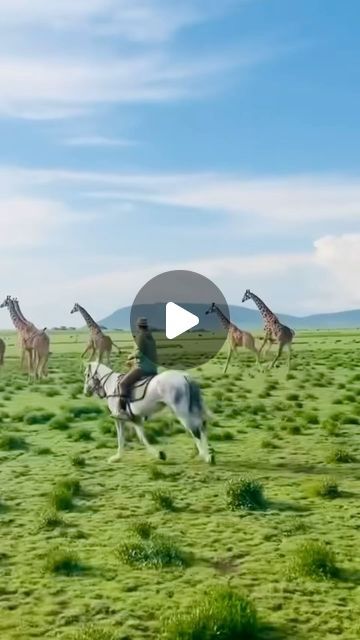 Black Saddle Riding Safaris | The Kilimanjaro Elephant Safari - Tanzania 🇹🇿

Fly into Kilimanjaro airport and set off on this incredible wildlife safari in the A... | Instagram Out Of Africa Style, Riding Holiday, Elephant Safari, Black Saddle, Africa Style, Arusha, Safari Lodge, Wildlife Safari, Out Of Africa