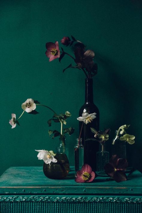 Flowers In Vases, Dark Green Aesthetic, Slytherin Aesthetic, Hur Man Målar, Interior Paint Colors, Green Interiors, Green Rooms, Design Sponge, Room Paint