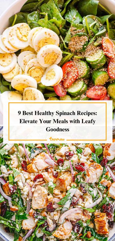 Elevate your meals with leafy goodness with the 9 Best Healthy Spinach Recipes! From hearty salads to creamy dips, enjoy delicious dishes that showcase the versatility of spinach. 🥬💚 


#HealthySpinachRecipes #LeafyGoodness #NutritiousOptions #VersatileIngredients #DishPulse 𝗚𝗶𝘃𝗲 𝗮 𝗵𝗲𝗮𝗿𝘁 𝘁𝗼 𝗯𝗼𝗼𝗸𝗺𝗮𝗿𝗸 𝗳𝗼𝗿 𝗹𝗮𝘁𝗲𝗿! Meals With Leafy Greens, Meals To Make With Spinach, Heart Healthy Salads Recipes, Heart Healthy Salads, Meals With Spinach, Spinach Healthy Recipes, Spinach Meals, Healthy Spinach Recipes, Recipes With Spinach