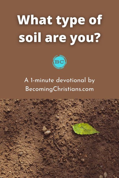 What type of soil are you? Daily Bible Reading, Bible Reading, Daily Bible, Types Of Soil, Read Bible, What Type, Soil, Bible, Thing 1