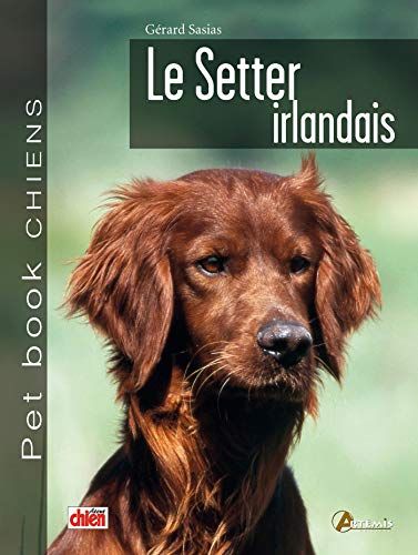 Le setter irlandais (0) Karlovy Vary