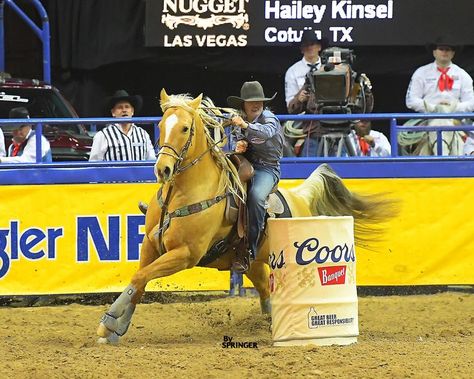 Hailey Kinsel, National Finals Rodeo, Cute Horse Pictures, Barrel Racing Horses, Barrel Racing, Cute Horses, Horse Pictures, Rodeo, Dream Life