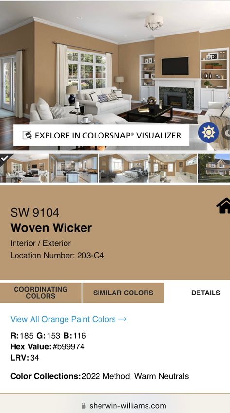 Sherwin Williams Woven Wicker, Wicker Paint Color, Woven Wicker Sherwin Williams, Ralph Lauren Paint Colors, Evergreen Fog, Orange Paint Colors, Ralph Lauren Paint, Sherwin Williams Colors, Gathering Room