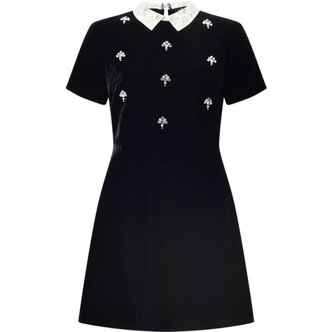 Miss Selfridge PETITE Velvet Skater Dress (110 BRL) ❤ liked on Polyvore featuring dresses, vestidos, black, petite, embellished skater dress, petite skater dress, miss selfridge, miss selfridge dresses and skater dress Embellished Dresses, Embelished Dress, Velvet Skater Dress, Dress Miss, Modest Summer Fashion, Dresses Velvet, Peplum Tops, Dress Velvet, Skater Dresses