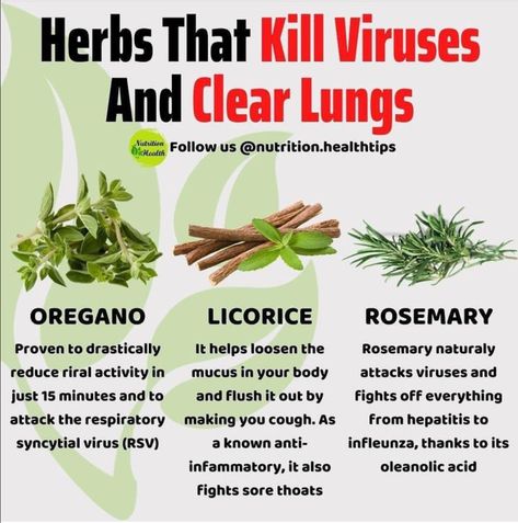 Herbs For Lungs, Vitamins Hair Growth, Natural Allergy Relief, Dht Blockers, Turmeric Health, Lungs Health, Edge Control, Natural Healing Remedies, Allergy Relief