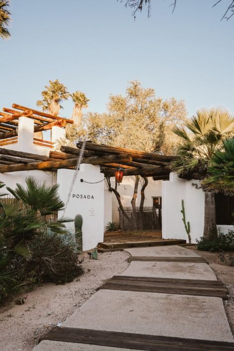 Staying at Posada by The Joshua Tree House in Tucson, Arizona - Bon Traveler The Joshua Tree House, Joshua Tree Landscaping, Arizona Houses, Joshua Tree House, The Joshua Tree, Casa Cook, Saguaro National Park, Tree House Diy, Arizona House