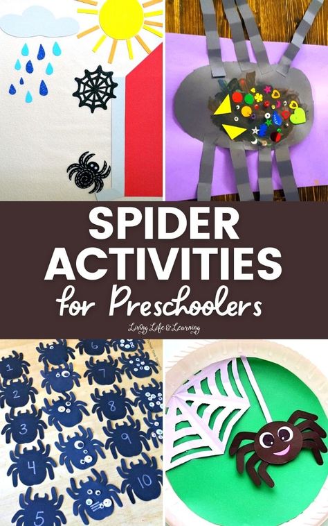 Fun Science Activities For Kids, Spider Life Cycle, Spider Lessons, Fun Science Activities, Life Cycles Preschool, Spider Unit, Spider Activities, Bugs Preschool, Insect Activities