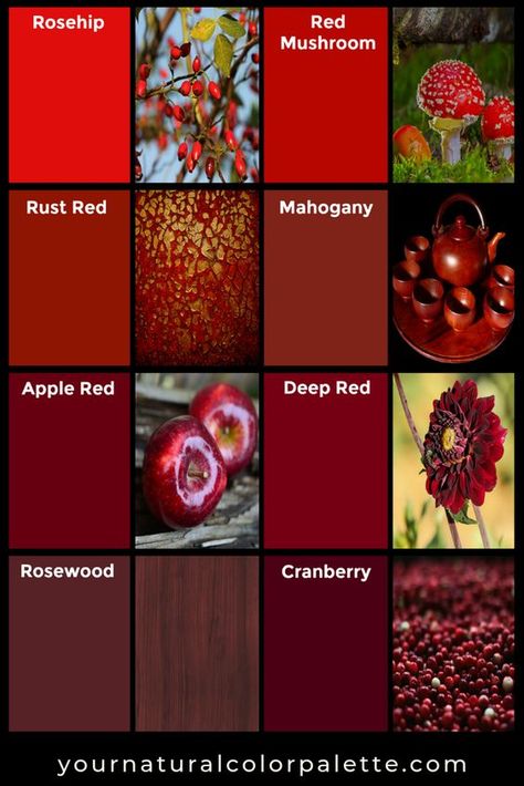 #red #colorpalette #autumn #colorscheme #colors #coloranalysis #seasonalcoloranalysis #fashion #beauty #interiordesign Rgb Palette, Burgundy Color Scheme, Soft Autumn Deep, Walls Color, Personal Color Analysis, Natural Color Palette, Red Color Palette, True Autumn, Natural Palette